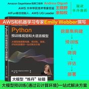 《Python预训练视觉与大模型》封面